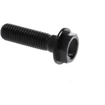 ヘキサゴナルヘッド ERGAL CL 004 M10 X 1，25 L. 45 - LIGHTECH (ライテック)