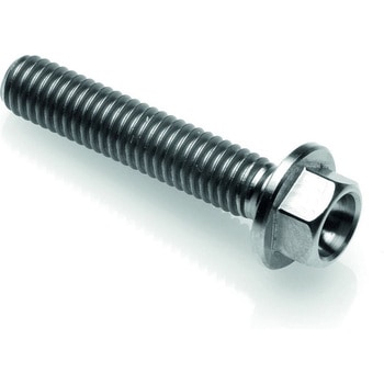 ヘキサゴナルヘッド TIT. G.5 CL 004 M6 L. 45 LIGHTECH (ライテック)