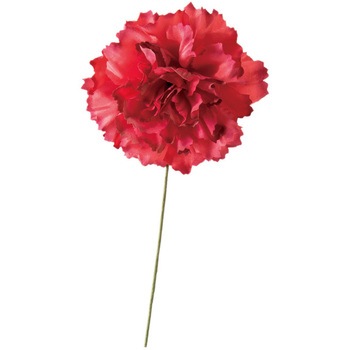 ZCA-YS1 J[l[Vt[ HEADS(wbY) 65026965