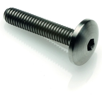 ボタンヘッド TIT. G.5 CL 003 M5 L. 25 LIGHTECH (ライテック)