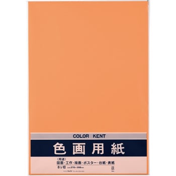 Pエ-N87DA 色画用紙 マルアイ 8ツ切サイズ 1パック(10枚) - 【通販