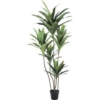 イミテーショングリーン 観葉植物(人工植物) リレヤ