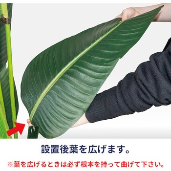 人工観葉植物 ストレリチア リレヤ