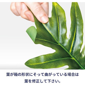 人工観葉植物 ストレリチア リレヤ