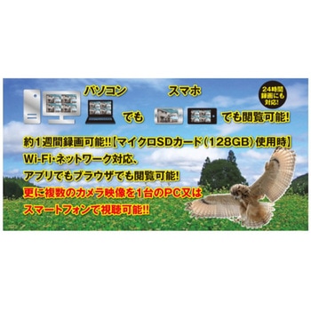 闇夜のまっくろクロフク レッツコーポレーション