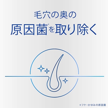 h&s scalp ドライスカルプ シャンプー P&G