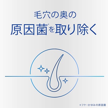 h&s scalp ドライスカルプ シャンプー P&G