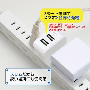 1410 充電器なし AKJ-SCUBE2 WH スリムキューブAC充電器 USBポートX2 1個 TM TECH