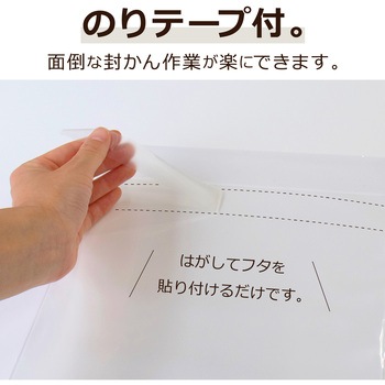 アゾン クリア封筒 セキセイ