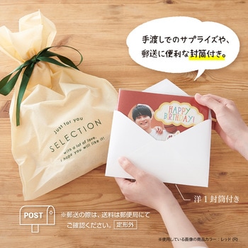 ミニギフトアルバム セキセイ