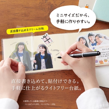 ミニギフトアルバム セキセイ