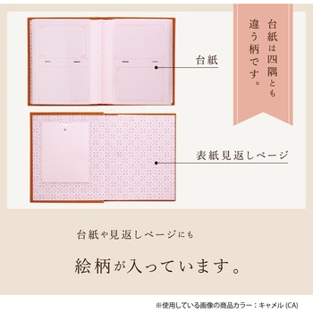 フレームアルバム セキセイ