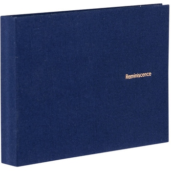 ミニポケットアルバム高透明Lサイズ セキセイ