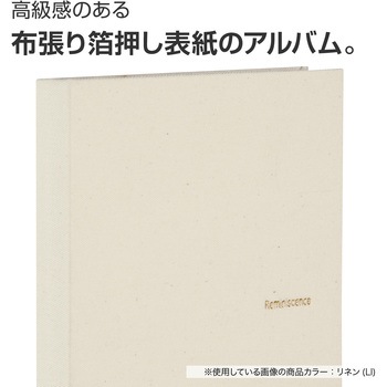 ミニポケットアルバム高透明Lサイズ セキセイ