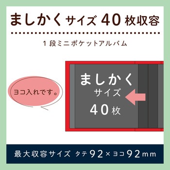 レミニッセンスアルバム ましかく セキセイ