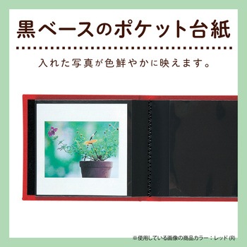 レミニッセンスアルバム ましかく セキセイ