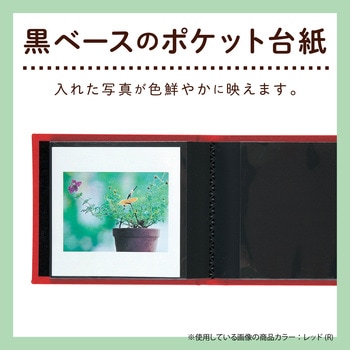 レミニッセンスアルバム ましかく セキセイ