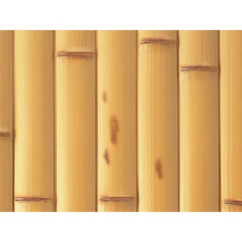 エバー建仁寺 紋竹ボード エバーバンブー