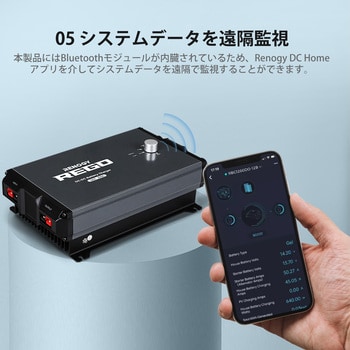 RCB1260DO-100506PR 走行充電器/アイソレーター 1台 RENOGY