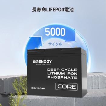 リン酸鉄リチウムイオンバッテリー RENOGY JAPAN