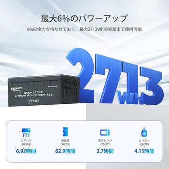 リン酸鉄リチウムイオンバッテリー RENOGY JAPAN
