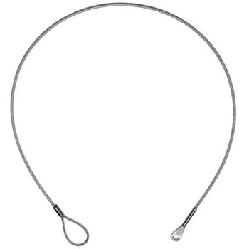 落下防止ワイヤ 大型器具用 〈30kgまで(2本使用時)〉 末端アイエンドタイプ (Φ10.5穴付き) 岩崎電気