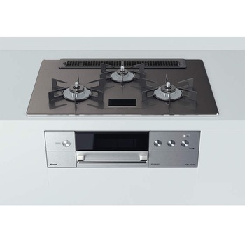 RHS71W31E15VCASTW/LP rgCR fVAV[Y iC 3 65151864