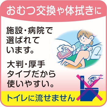 Tやわらかぬれタオル フタ付/袋/- リブドゥコーポレーション