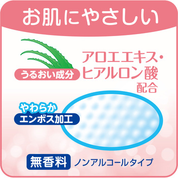 Tやわらかぬれタオル フタ付/袋/- リブドゥコーポレーション