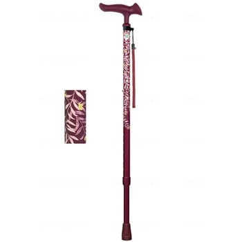 かるがもファムⅡ 伸縮/リーフワイン/- フジホーム