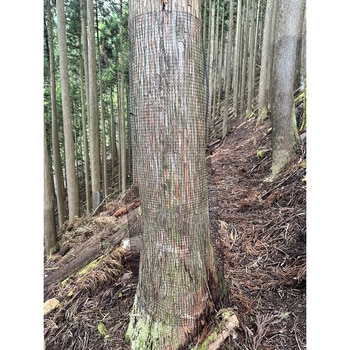 グリーンブロックシェルター 近江屋ロープ