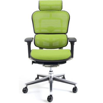 エルゴヒューマン ベーシック EH-HAM ハイタイプ ヘッドレスト・肘付