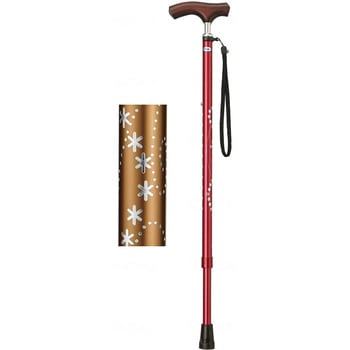 キララ・ケイン/星柄 金/- ミキ