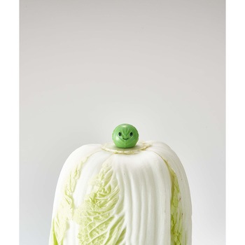 野菜の鮮度を保つベジシャキちゃん - コジット