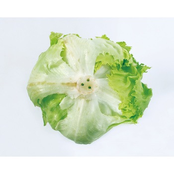 野菜の鮮度を保つベジシャキちゃん - コジット
