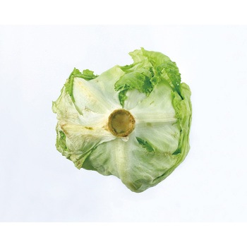 野菜の鮮度を保つベジシャキちゃん コジット