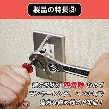 角軸貫通ドライバー チャンピオンツール