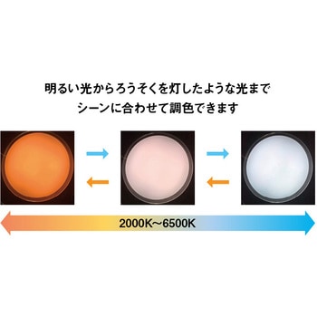 【安心の5年保証付き】コンパクトシーリングフラットタイプ(導光板) 東芝