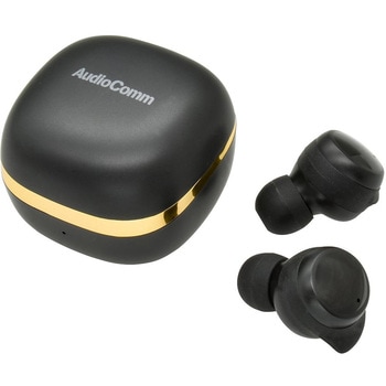 完全ワイヤレスイヤホン ブラック 高音質 通話対応 防水IP54 Bluetooth5.3 オーム電機