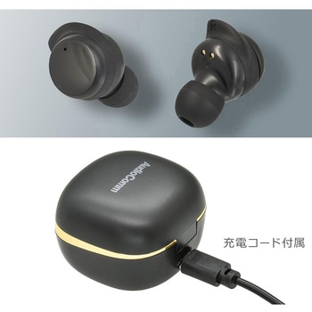 完全ワイヤレスイヤホン ブラック 高音質 通話対応 防水IP54 Bluetooth5.3 オーム電機