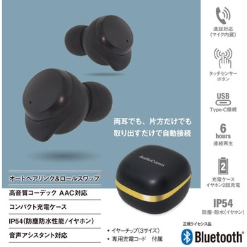 完全ワイヤレスイヤホン ブラック 高音質 通話対応 防水IP54 Bluetooth5.3 オーム電機