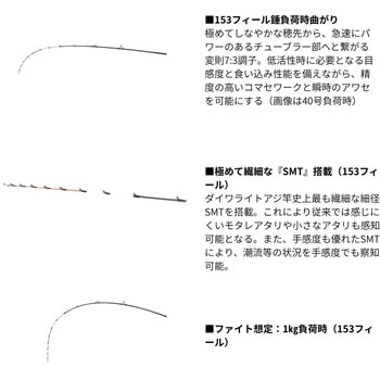 25 極鋭ライトアジ DAIWA(ダイワ)
