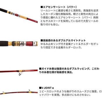 25 ディープゾーン DAIWA(ダイワ)