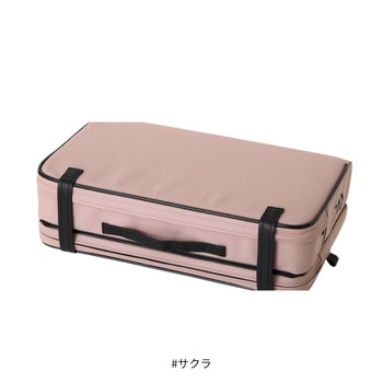 クッションLT (D) - DAIWA(ダイワ)