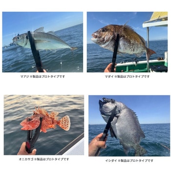 フィッシュホルダー HD295 DAIWA(ダイワ)