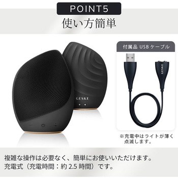 ソニック フェイシャルブラシ GESKE