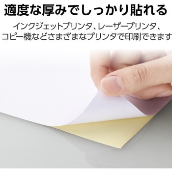 ラベルシール 表示・宛名ラベル プリンタ兼用 マット紙 A4 ノーカット 1面 (210×297mm) 1袋 (50シート入) エレコム