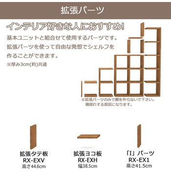 レクタックスベーシック2x2 AIS (エイ・アイ・エス)