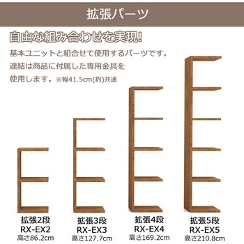 レクタックスベーシック2x5 AIS (エイ・アイ・エス)