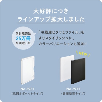 スキットマン 冷蔵庫ピタッとファイル キングジム